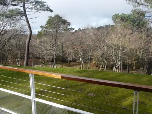 Vue sur le parque, depuis le balcon Nord